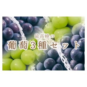 ふるさと納税 ぶどう 巨峰 山梨県 甲州市 定...の詳細画像1