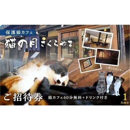 ふるさと納税 岐阜県 高山市 猫の月さくらやまご招待券2名様分（猫カフェ60分無料＋ワンドリンク付き...