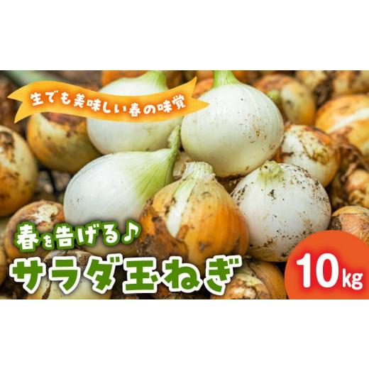 ふるさと納税 鹿児島県 南九州市 020-08 春を告げるサラダ玉ねぎ10kg