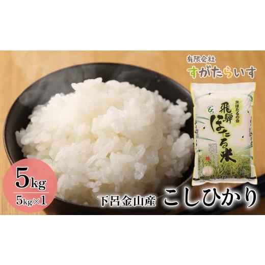 ふるさと納税 岐阜県 下呂市 新米予約受付【令和6年産米】こしひかり 5kg すがたらいす 下呂市金...