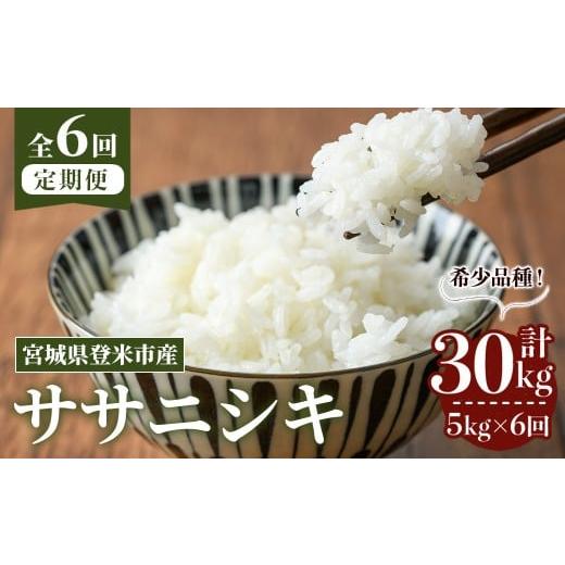 ふるさと納税 米 ササニシキ 宮城県 登米市  令和7年産 6回定期便 ササニシキ 計30kg (5...