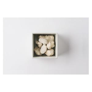 ふるさと納税 雑貨・日用品 鹿児島県 喜界町 ...の詳細画像2