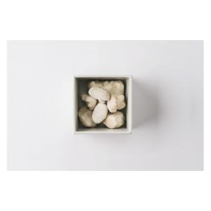 ふるさと納税 雑貨・日用品 鹿児島県 喜界町 ...の詳細画像2