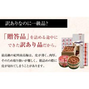 ふるさと納税 加工品等 梅干 和歌山県 白浜町...の詳細画像4