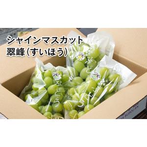 ふるさと納税 ぶどう マスカット 宮崎県 西都...の詳細画像3