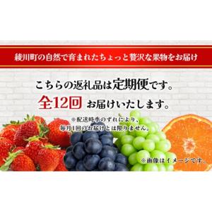 ふるさと納税 いちご 香川県 綾川町 ちょっと...の詳細画像3