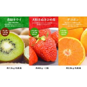 ふるさと納税 いちご 香川県 綾川町 ちょっと...の詳細画像4