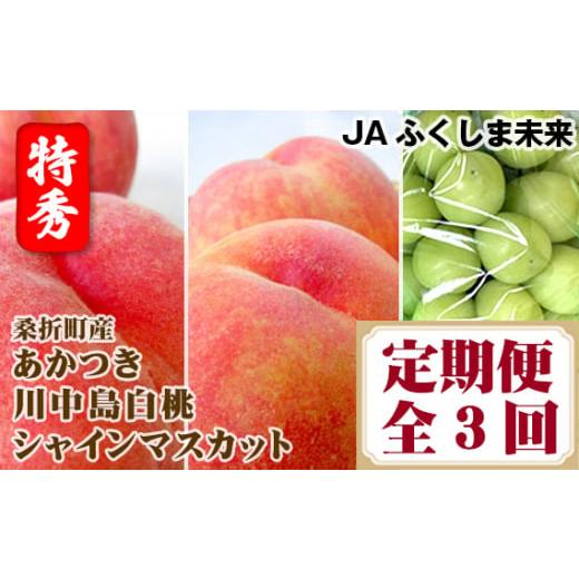 ふるさと納税 福島県 桑折町 No.176 桑折町もも2品種・シャインマスカット定期便 ／ 果物 フ...