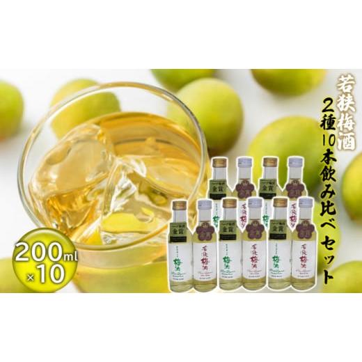 ふるさと納税 福井県 若狭町 若狭梅酒2種10本飲み比べセット　200ml　紅映梅 [No.5580...