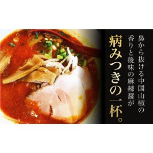 ふるさと納税 ラーメン とんこつ 長崎県 長与...の詳細画像4
