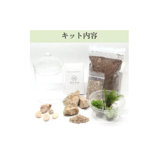 ふるさと納税 花・苗木 神奈川県 鎌倉市  ベーシック編 苔テラリウム制作キット（ツール付き）