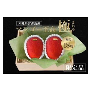 ふるさと納税 マンゴー 沖縄県 宮古島市 《先行予約》桐箱入り高級マンゴー｜マンゴー至高〜極〜きわみ｜沖縄県宮古島産 琉球マルシェ