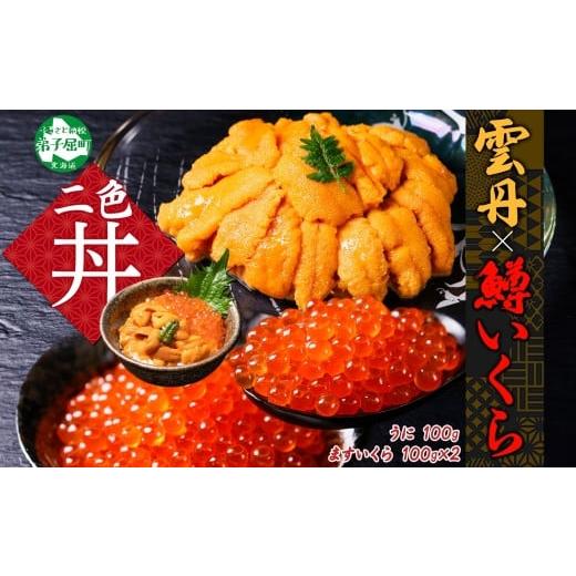 ふるさと納税 いくら 北海道 弟子屈町 3619. 雲丹 100g 鱒いくら醤油漬け 100g×2個...