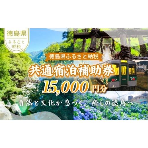 ふるさと納税 宿泊券 徳島県 - 徳島県 宿泊券 15,000円分 徳島県 徳島 すだち 大野 海苔...