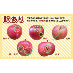 ふるさと納税 りんご 青森県 南部町 《訳あり...の詳細画像3