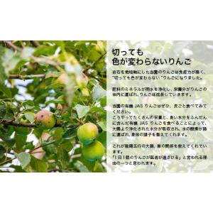 ふるさと納税 りんご 青森県 南部町 《訳あり...の詳細画像5