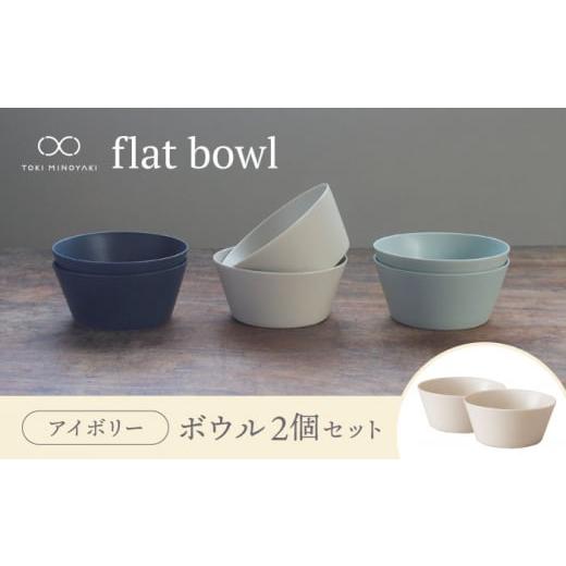 ふるさと納税 食器・グラス 皿 岐阜県 土岐市  美濃焼 flat bowl ボウル 2個セット（ア...