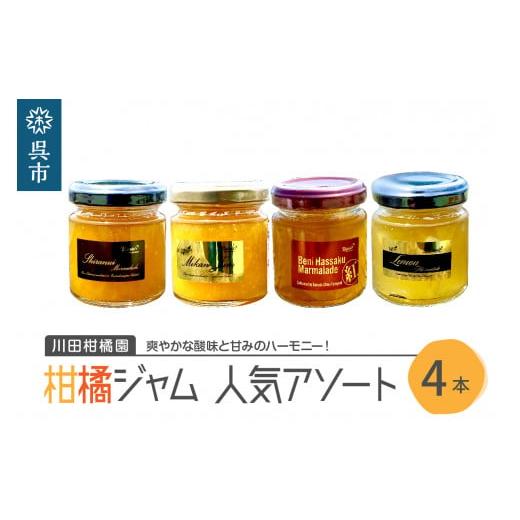 ふるさと納税 缶詰・瓶詰 くだもの 広島県 呉市 島の恵み 瀬戸内 柑橘ジャム 人気アソート 4本セ...