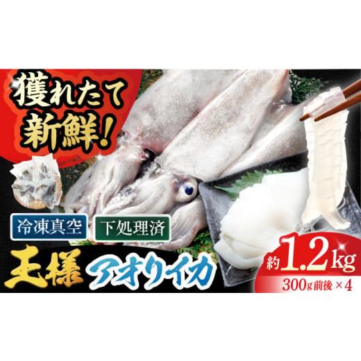 ふるさと納税 長崎県 五島市 【肉厚で甘い！イカの王様】アオリイカ（300g×4杯）冷凍 刺身 五島...