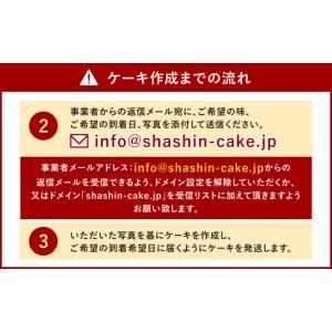 ふるさと納税 ケーキ・カステラ スポンジケーキ...の詳細画像3