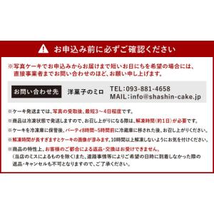 ふるさと納税 ケーキ・カステラ スポンジケーキ...の詳細画像4
