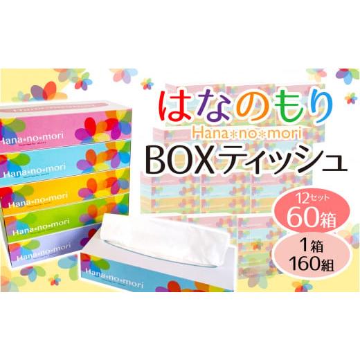 ふるさと納税 岩手県 一関市 《6月〜順次発送》はなのもりボックスティッシュ(box) 60箱 (5...