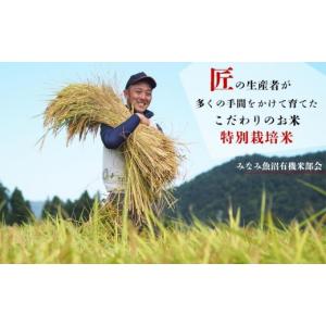 ふるさと納税 米 コシヒカリ 新潟県 南魚沼市...の詳細画像3