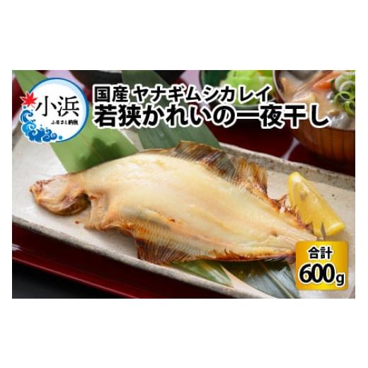 ふるさと納税 福井県 小浜市 国産 若狭かれい 一夜干し 600g (5〜6枚) ヤナギムシカレイ