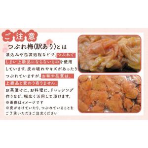 ふるさと納税 加工品等 梅干 和歌山県 上富田...の詳細画像5