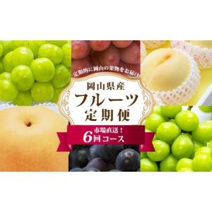 ふるさと納税 もも 岡山県 岡山市 フルーツ ...の詳細画像1