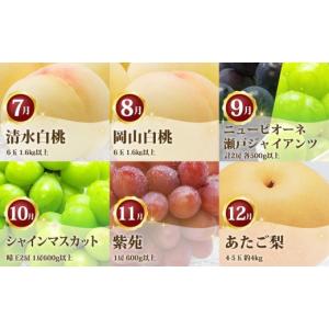 ふるさと納税 もも 岡山県 岡山市 フルーツ ...の詳細画像3
