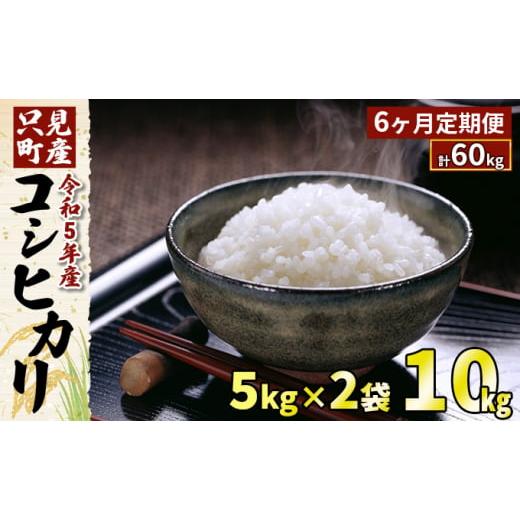 ふるさと納税 福島県 只見町 【6ヶ月定期便】令和5年産 只見町産コシヒカリ 10kg（5kg×2袋...