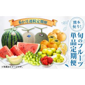 ふるさと納税 スイカ 熊本県 - 6か月連続定...の詳細画像1