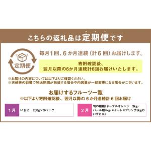 ふるさと納税 スイカ 熊本県 - 6か月連続定...の詳細画像2