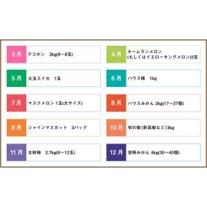 ふるさと納税 スイカ 熊本県 - 6か月連続定...の詳細画像3