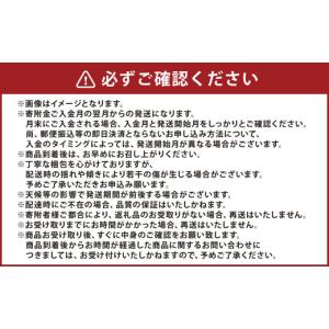 ふるさと納税 スイカ 熊本県 - 6か月連続定...の詳細画像4