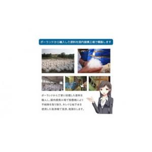 ふるさと納税 タオル・寝具 掛け布団 山梨県 ...の詳細画像4