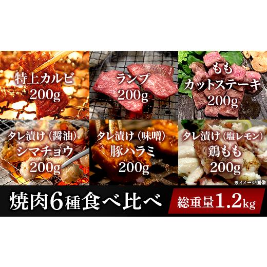ふるさと納税 新潟県 長岡市 76-A1焼肉6種食べ比べセット 6種×200g（総重量1.2kg）