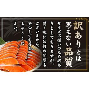 ふるさと納税 魚貝類 鮭 大阪府 泉佐野市 訳...の詳細画像2