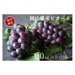 ふるさと納税 果物類 ぶどう 岡山県 真庭市 2026年先行予約 厳選 岡山県産 ピオーネ 1.0kg以上 2房 ／ 産地直送 朝採れ ぶどう 葡萄 先行予約 真庭市 フルー…