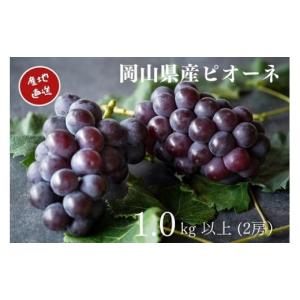 ふるさと納税 果物類 ぶどう 岡山県 真庭市 ...の詳細画像1