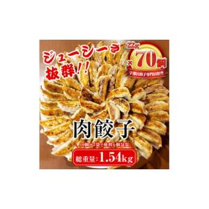 ふるさと納税 餃子 栃木県 宇都宮市 餃子専門店...の商品画像