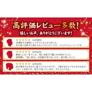 ふるさと納税 餃子 栃木県 宇都宮市 冷凍餃子...の詳細画像4