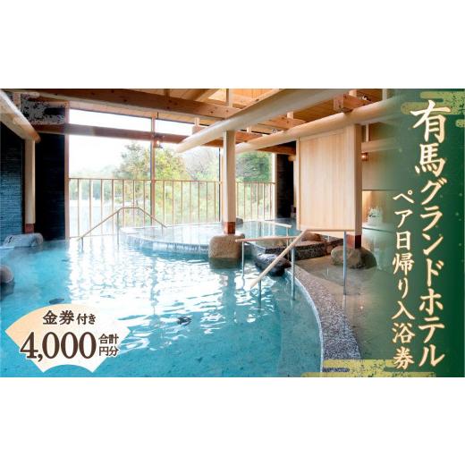 ふるさと納税 温泉・サウナ・スパ利用券 兵庫県 神戸市 有馬グランドホテル　ペア日帰り入浴券 金券付...