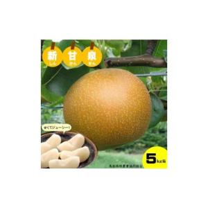 ふるさと納税 梨 鳥取県 米子市 鳥取県産梨「新甘泉（しんかんせん）」5kg