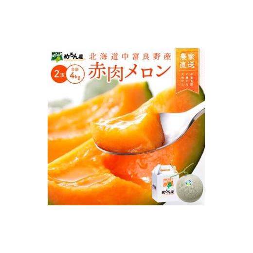 ふるさと納税 メロン メロン赤肉 北海道 中富良野町  2026年発送 中富良野赤肉メロン大玉2玉（...