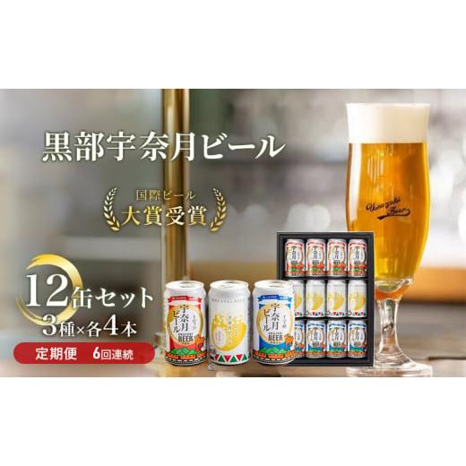 ふるさと納税 富山県 黒部市 [No.5313-0065]ビール ふるさと定期便 宇奈月ビール12缶...