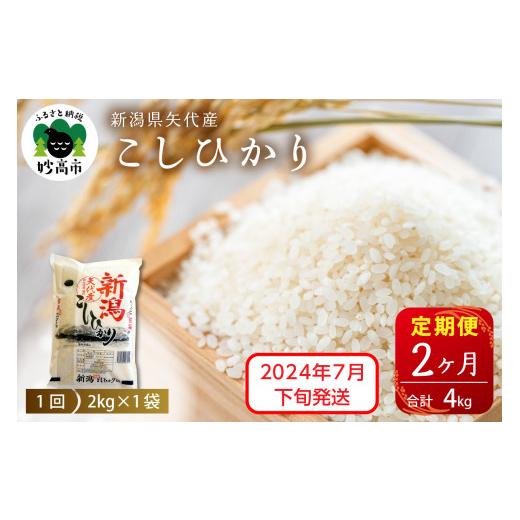 ふるさと納税 新潟県 妙高市 【2024年7月下旬発送】【定期便】新潟県矢代産コシヒカリ2kg×2回...