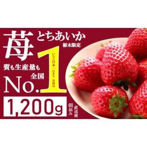 ふるさと納税 栃木県 真岡市 【先行予約】人気超上昇!! とちあいか いちご 1200g ( 4パック ) 期間限定 数量限定｜ いちご日本一 ミス苺 応援 農林水産省 最多…