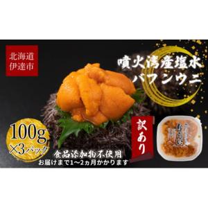 ふるさと納税 ウニ 北海道 伊達市  5525-0813 訳あり 北海道 噴火湾産 塩水 バフンウニ 100g 3パック 計300g うに ウニ 雲丹 海鮮 海の幸 魚介類 ウニ丼 お寿…｜ふるさとチョイス